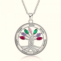 CNE103201 Sterling Silver Family Necklace with Birthstones