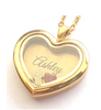 FL19 - Personalized Name Floating Locket Necklace, in silver or gold with any 2 floating pieces